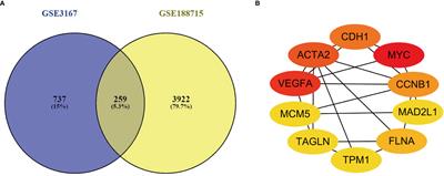 Screening of immunotherapy-related genes in bladder cancer based on GEO datasets